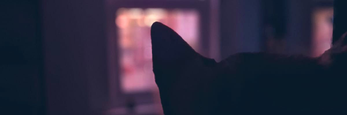 loordoor's profile banner image