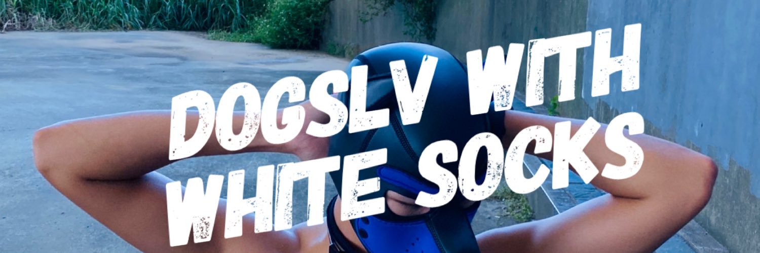 體健白襪玩具🌼 banner