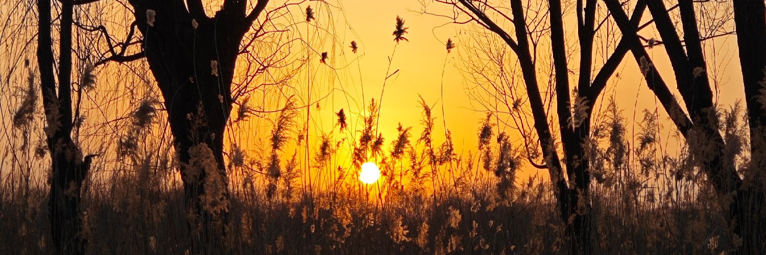 罪业 banner