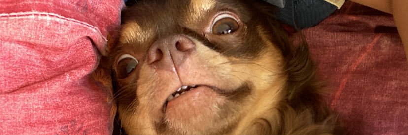 _chlowey's profile banner image