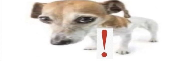 giovcst's profile banner image