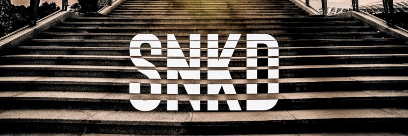 SnakedlowsT's profile banner image
