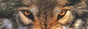 David_DWarrior's profile banner image