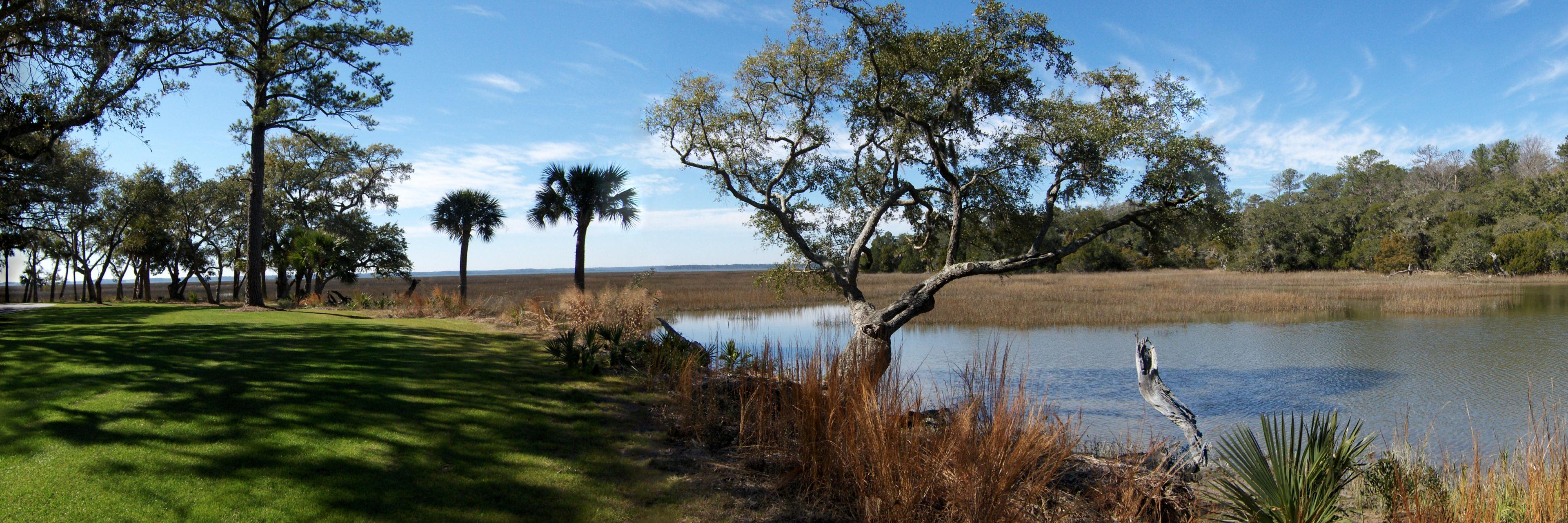 Lowcountry Listings banner