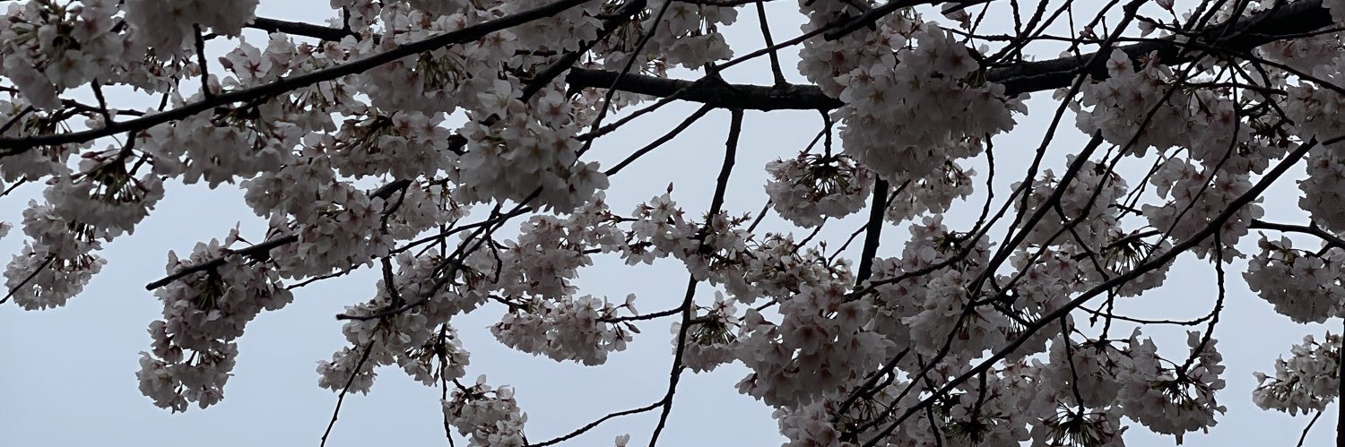 Julia Blair banner