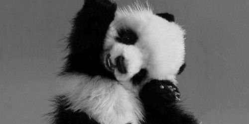 Мария Астахова banner