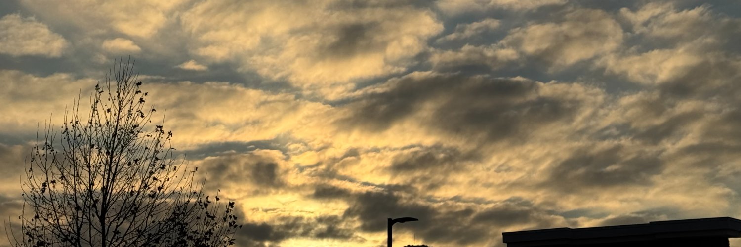 21stcenturyPilgrim banner