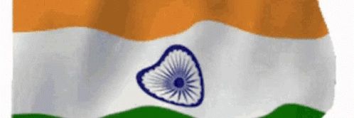 vandana D banner