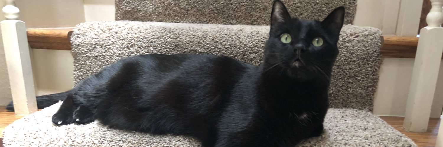 GetThis's profile banner image
