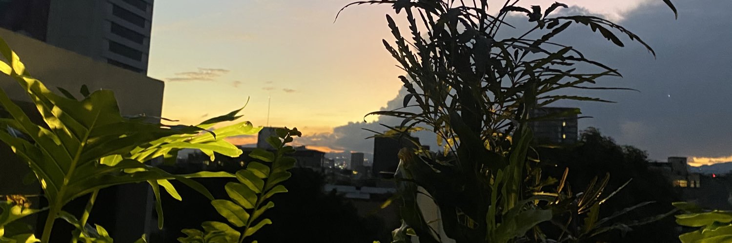 Catalina Uribe banner