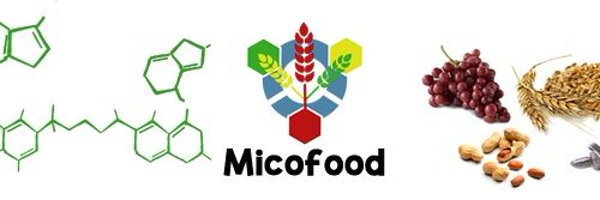 MICOFOOD1 Profile Banner