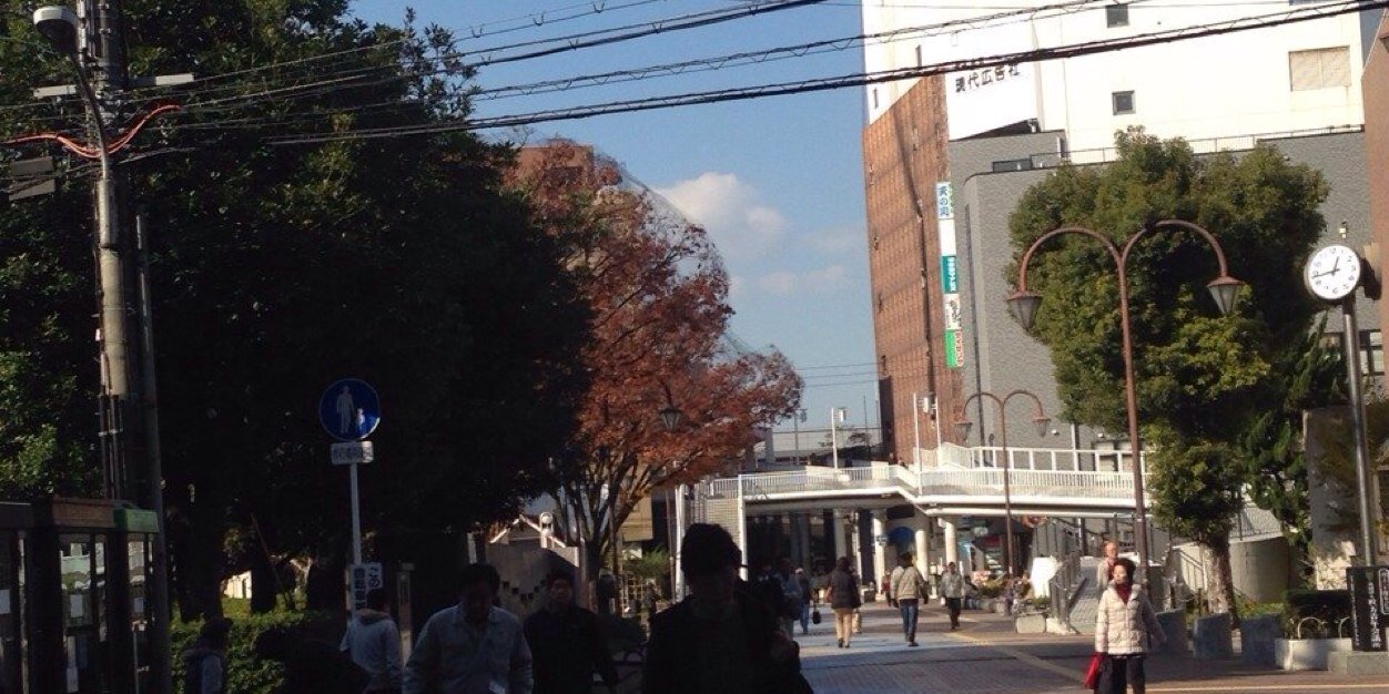 ___ banner