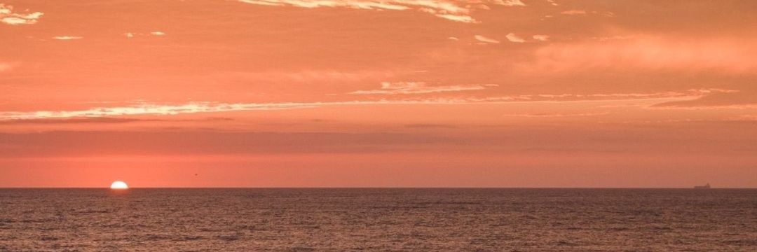 MylneNicls's profile banner image