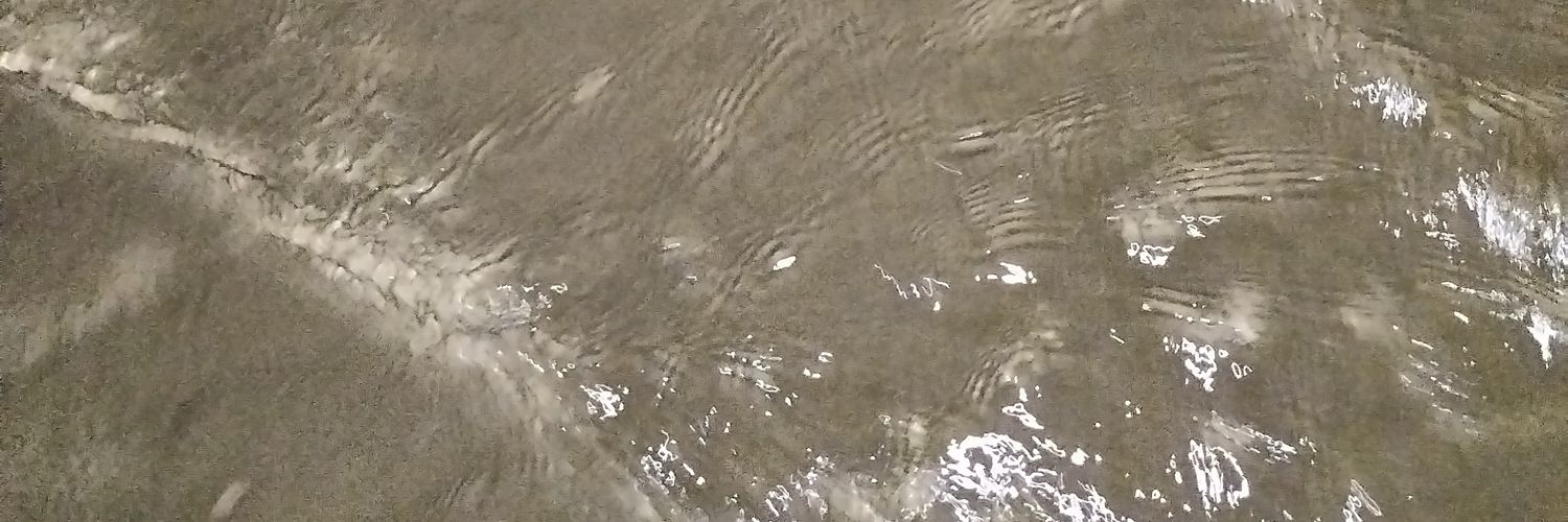 Aly 🐈‍⬛ banner