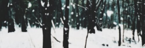 WillieTheSnow's profile banner image