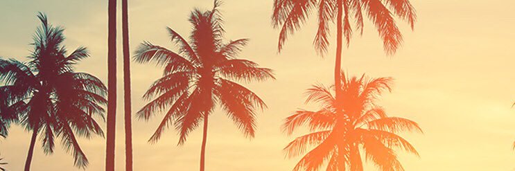 SammyOliverSF's profile banner image