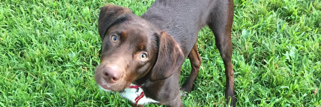 mmmmspaghetti's profile banner image