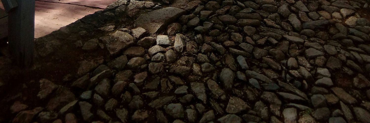 GeorgedlaFiesta's profile banner image