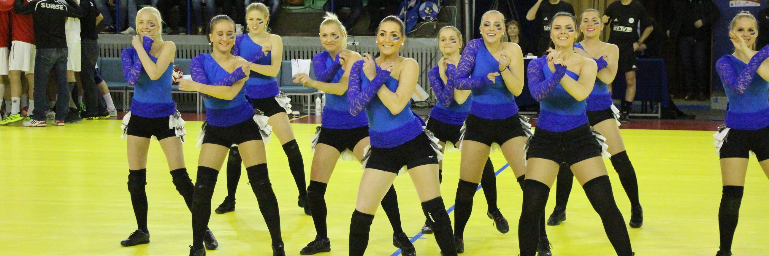 esthandball's profile banner image