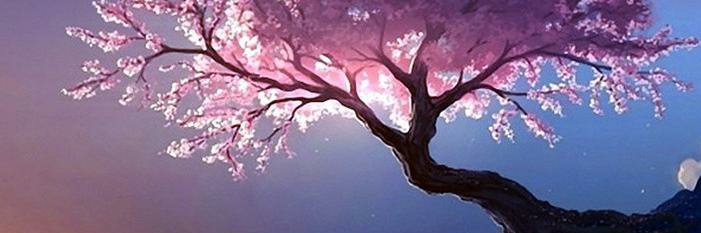 BlackRandom4's profile banner image