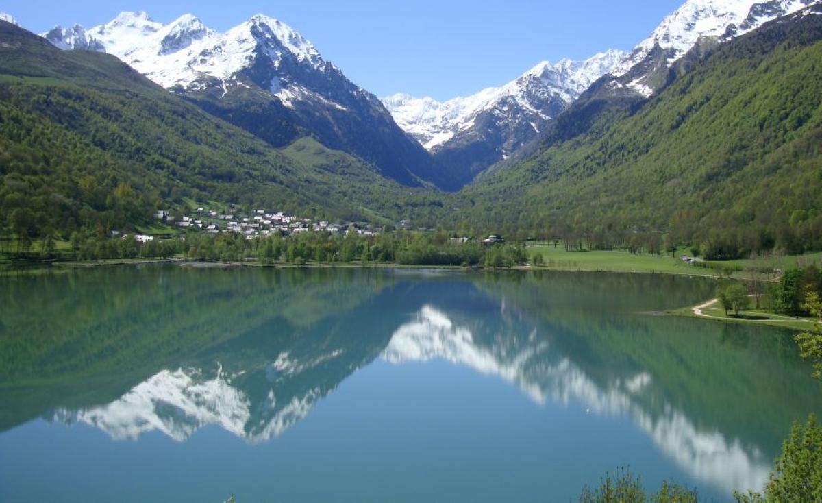 Fernando Bernal banner