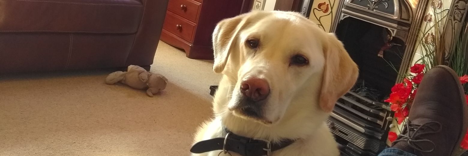 juliesam33's profile banner image
