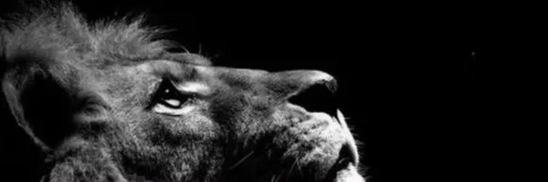 soscary_6 Profile Banner