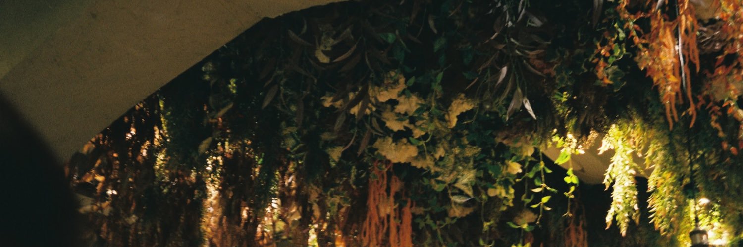 meistjoose's profile banner image