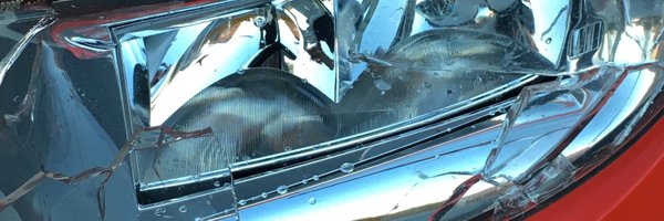 ThorvaldDeGeus Profile Banner