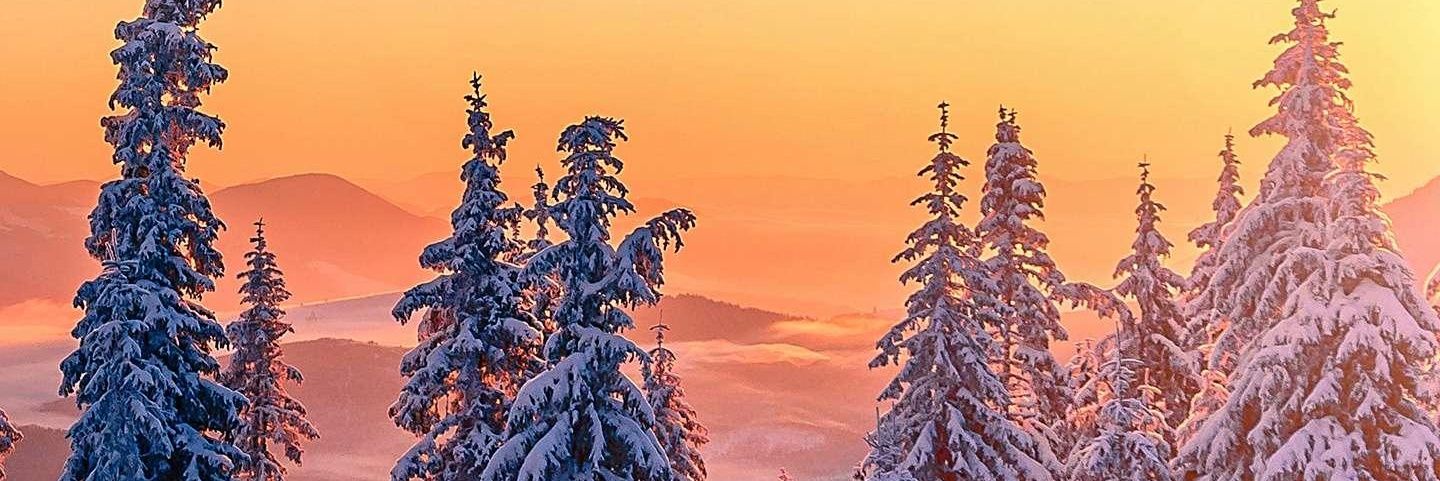 Tochotota's profile banner image