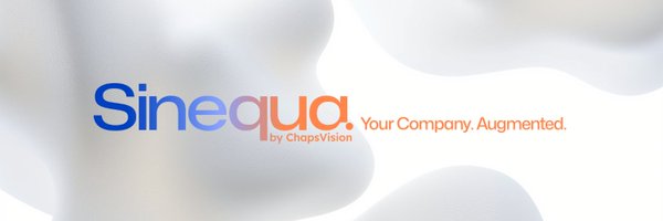 sinequa Profile Banner