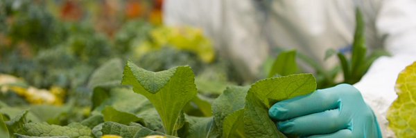 PlantBiotechJ Profile Banner