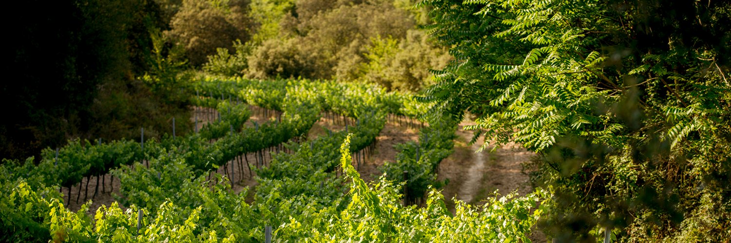 Parés Baltà banner