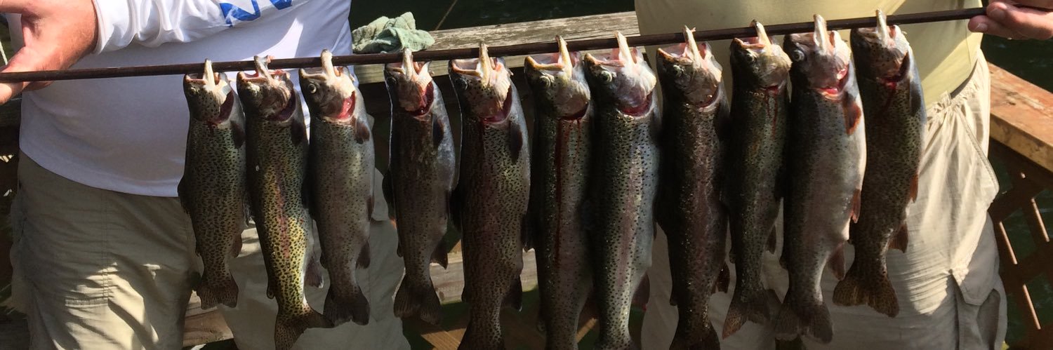 Bill Wellmaker banner