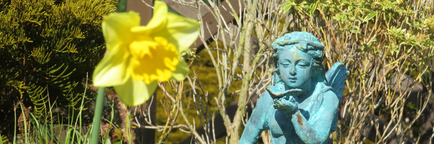 gordonroscoe's profile banner image