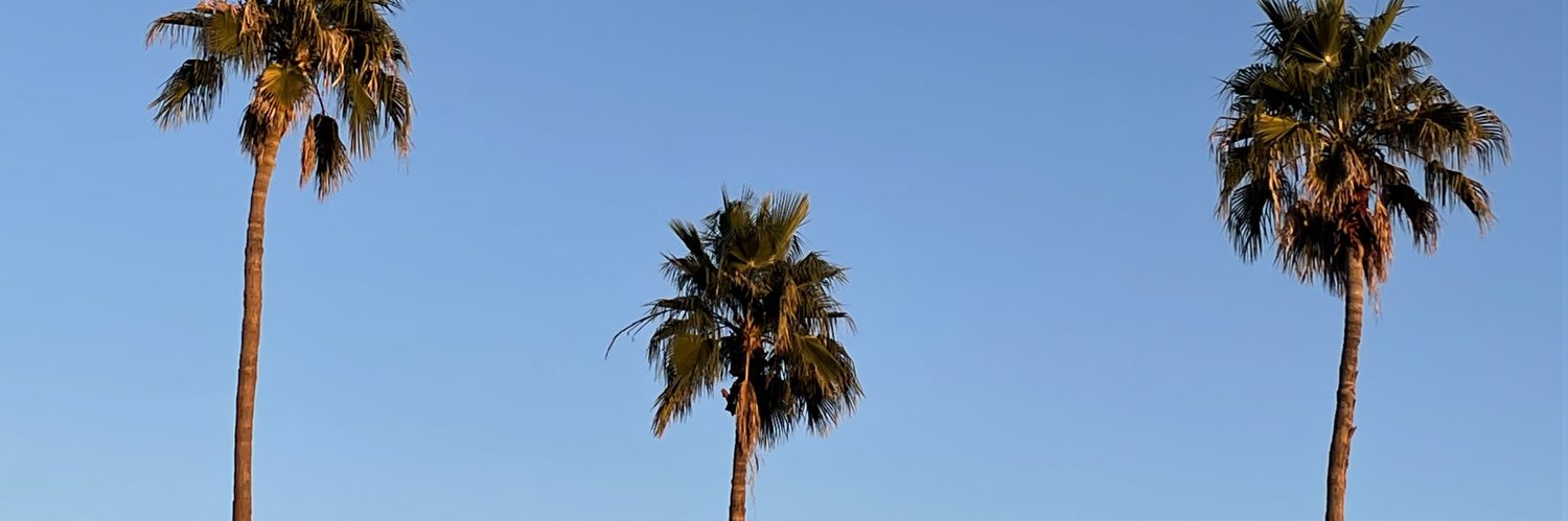 mattMIERA's profile banner image