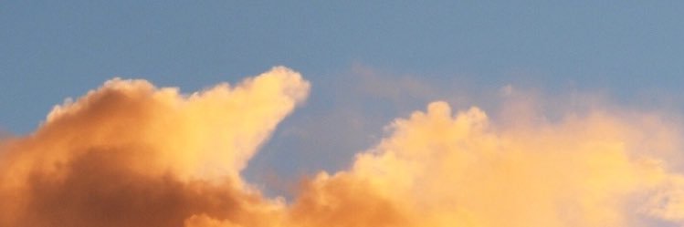llama_queen1's profile banner image