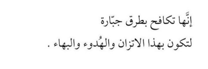 لطيفه✨. banner