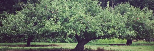 UncleJohnsCider Profile Banner