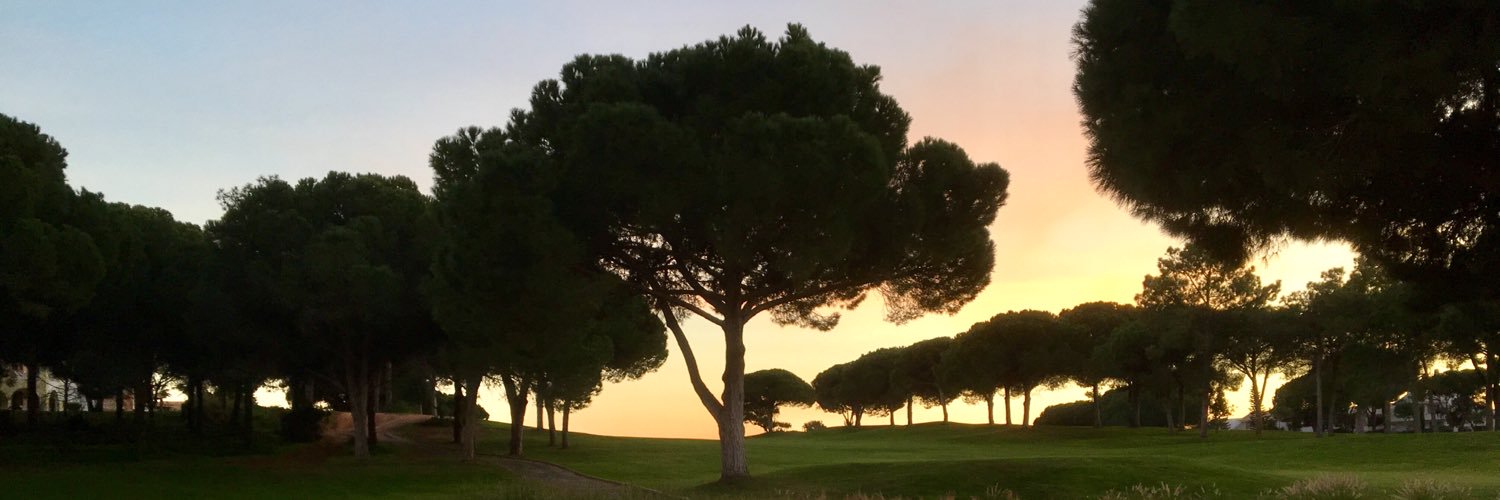 tobyheineken's profile banner image