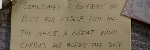 DWindham10 Profile Banner