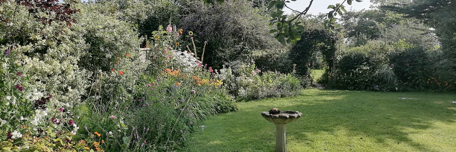 CatherineEDolan's profile banner image