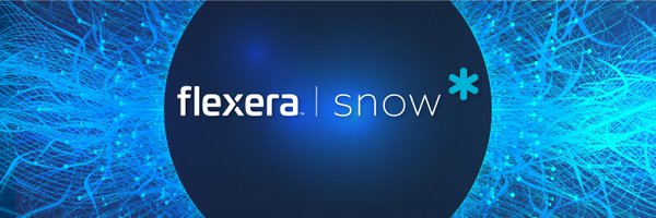 Snow Software Profile Banner