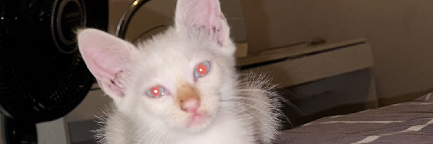 mateuxszin's profile banner image