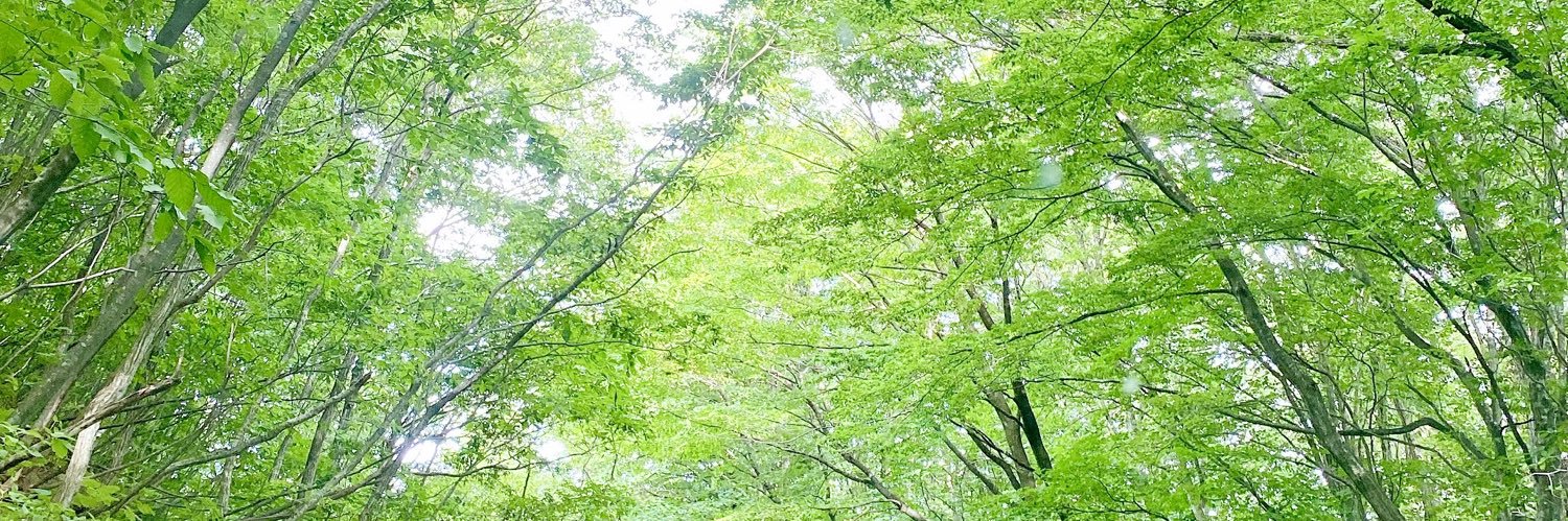 amenichi__hare's profile banner image