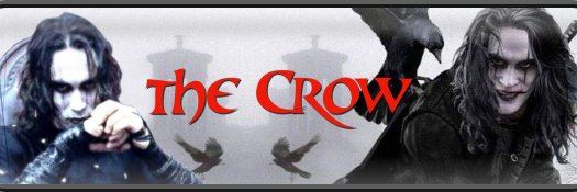 Cassidy Ace's banner
