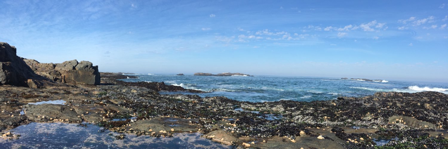 Samantha Smith banner