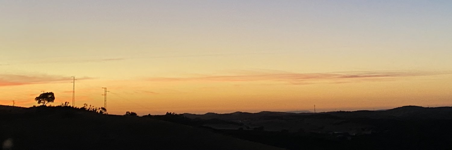 Elena banner