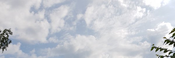 joutsenikko Profile Banner