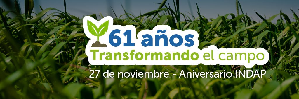 Indap Región de Antofagasta banner
